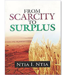 from-scarcity-to-surplus